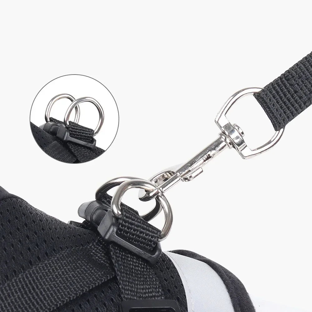 Escape-Proof Cat Harness