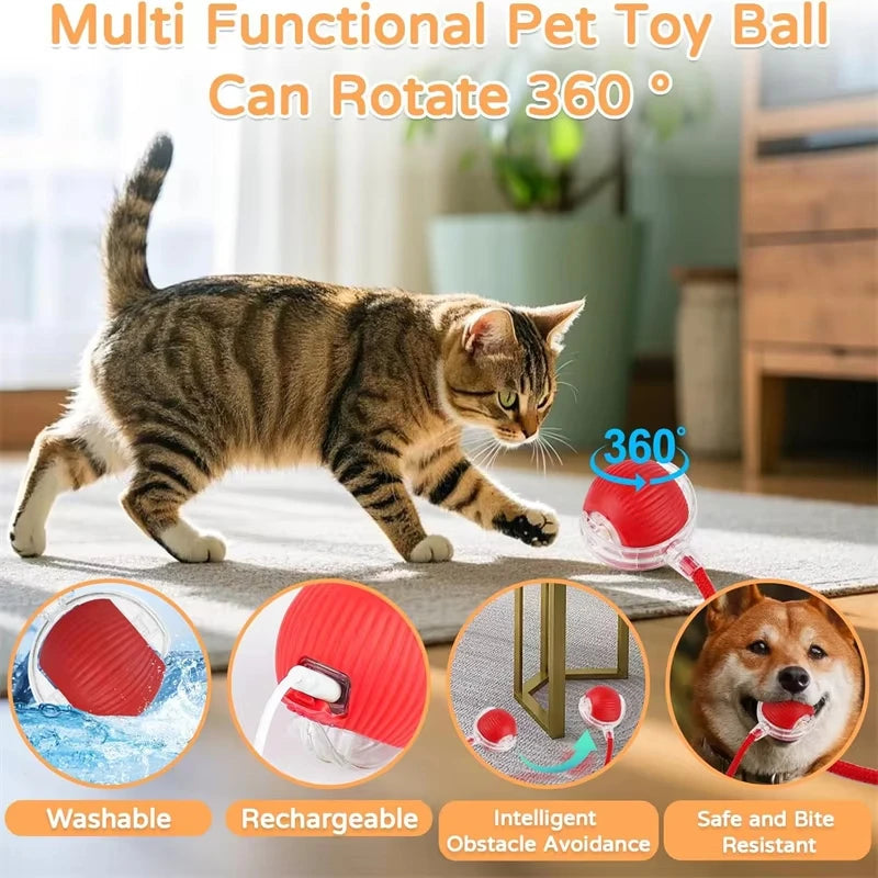 Smart Interactive Cat Ball™