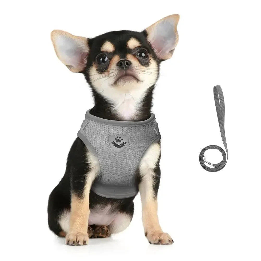Escape-Proof Cat Harness