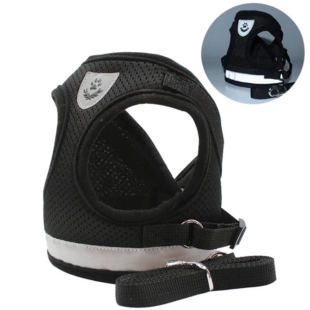 Escape-Proof Cat Harness