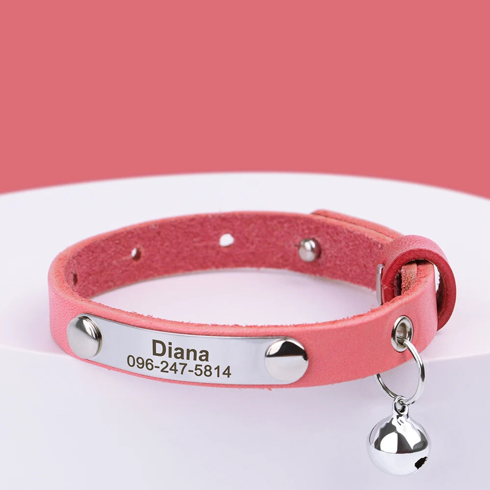 Custom Cat Collar