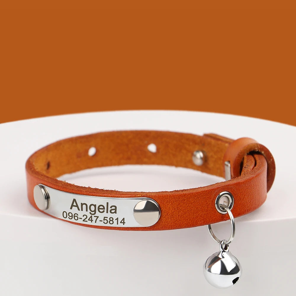 Custom Cat Collar
