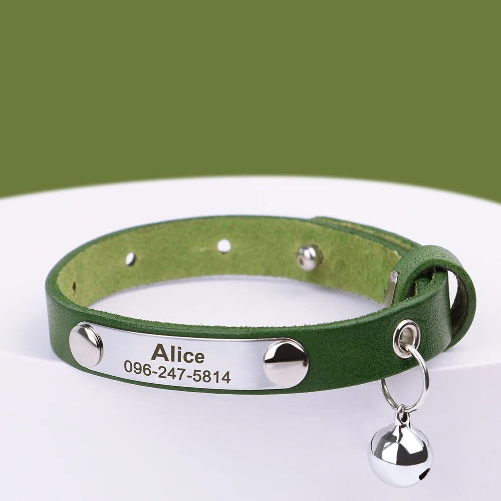 Custom Cat Collar