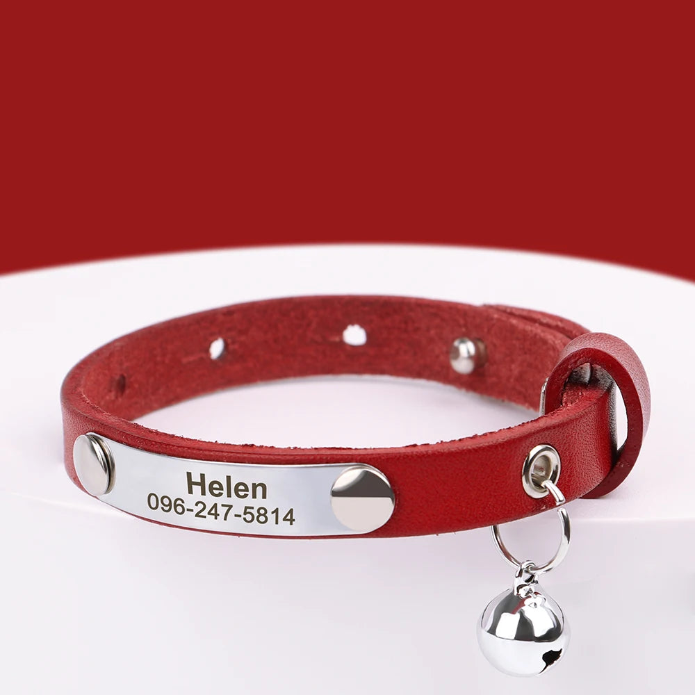 Custom Cat Collar