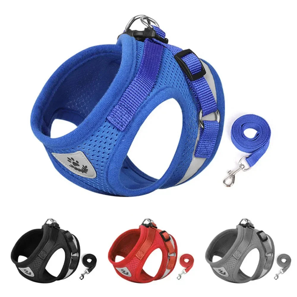 Escape-Proof Cat Harness