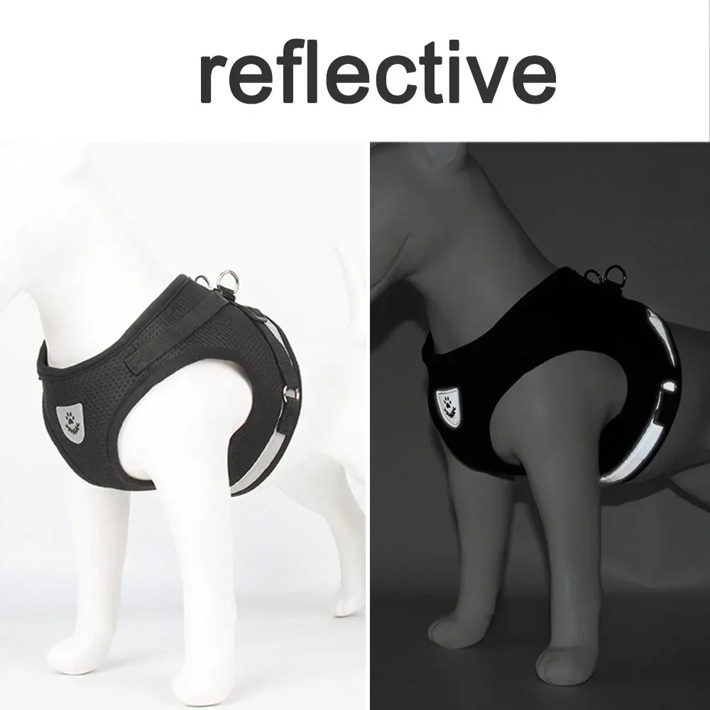 Escape-Proof Cat Harness