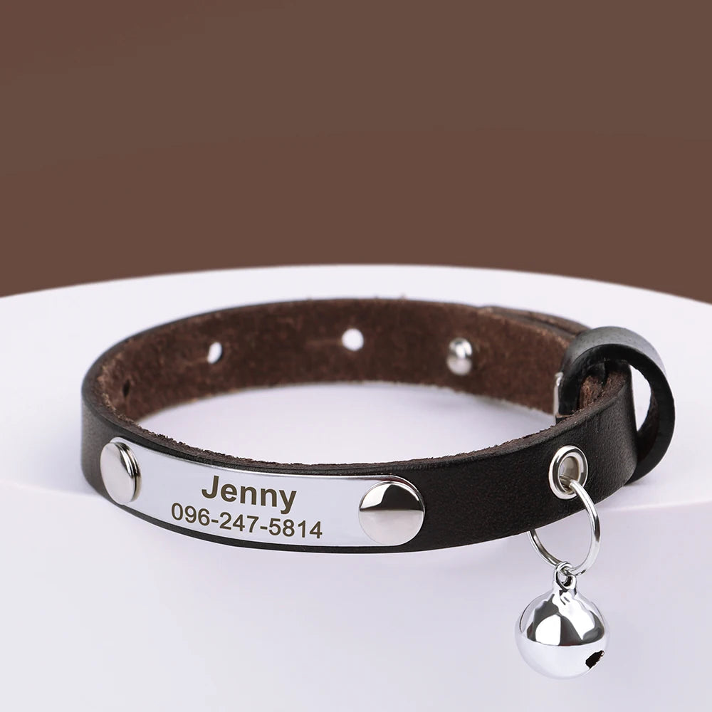 Custom Cat Collar
