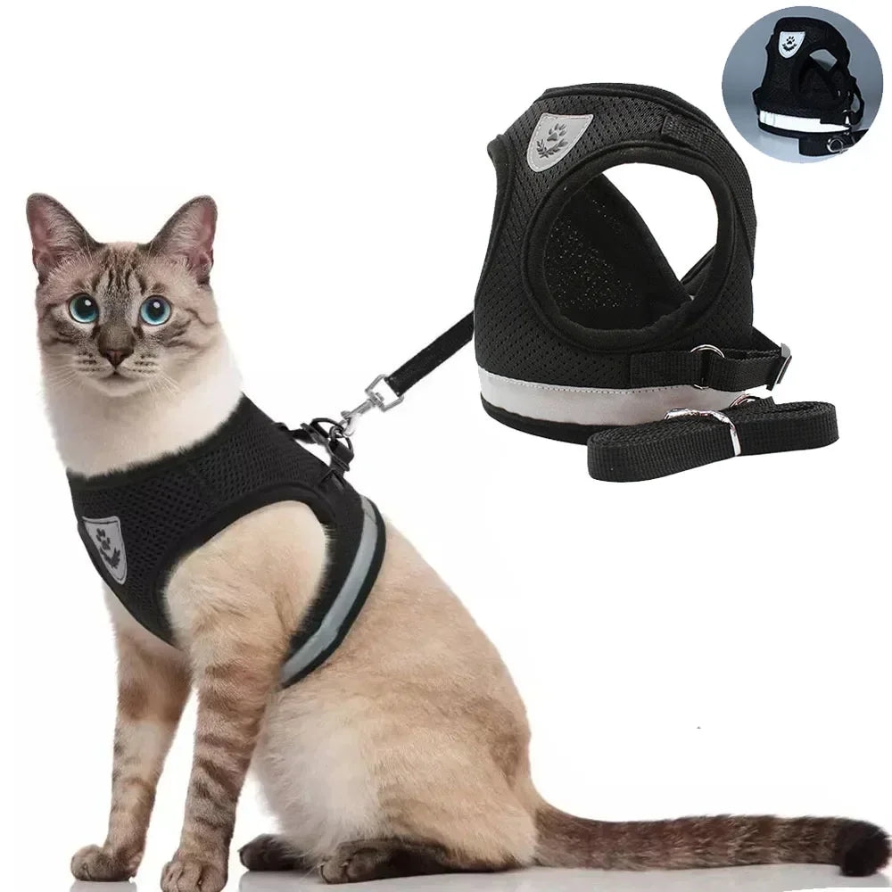 Escape-Proof Cat Harness
