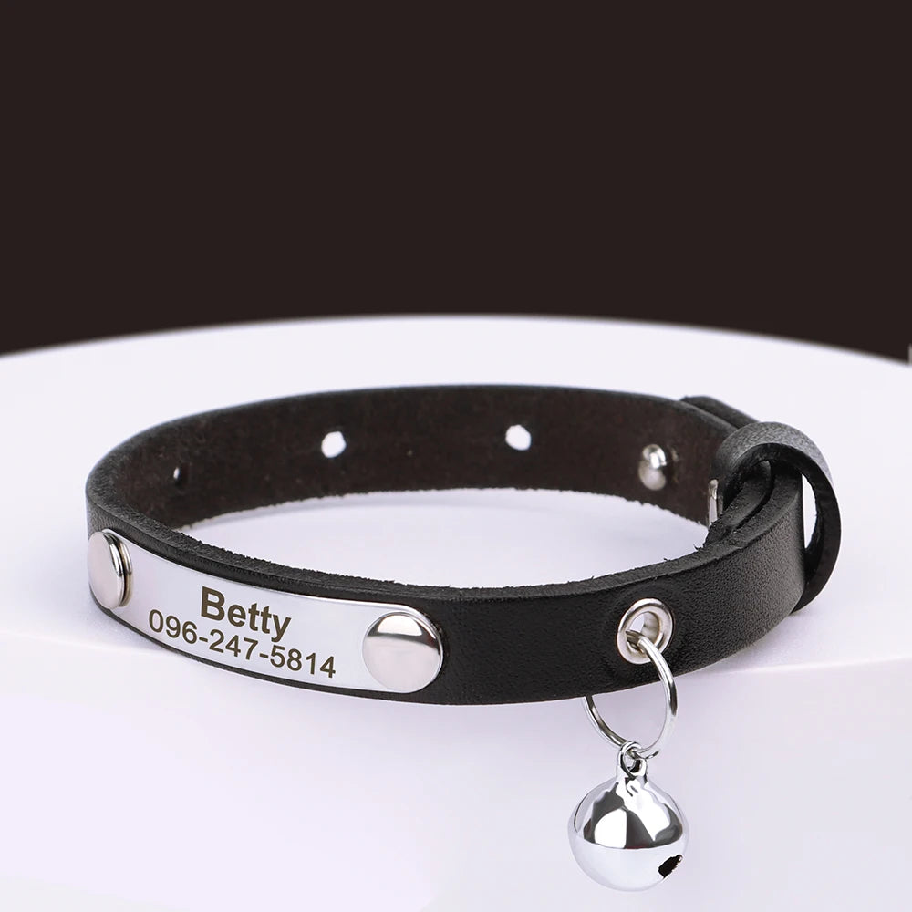 Custom Cat Collar