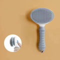 Self-Cleaning Pet Brush