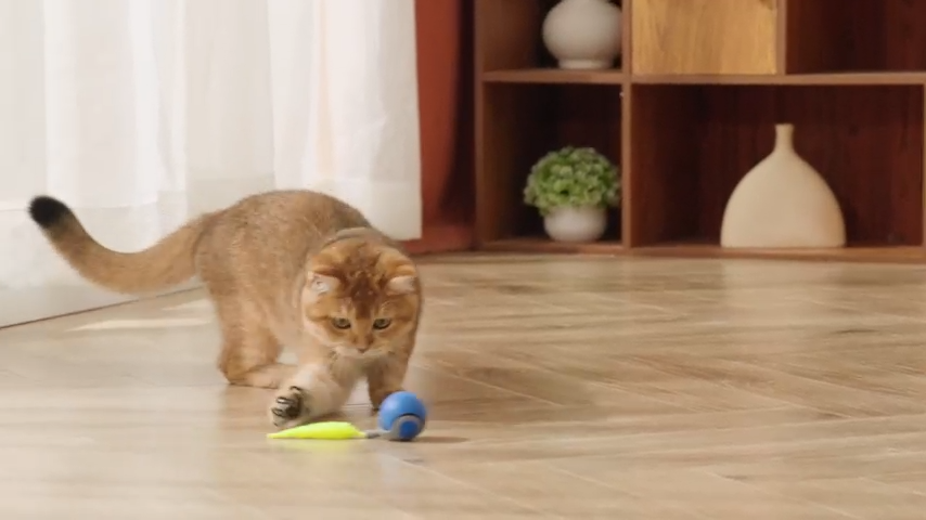 Smart Interactive Cat Ball™